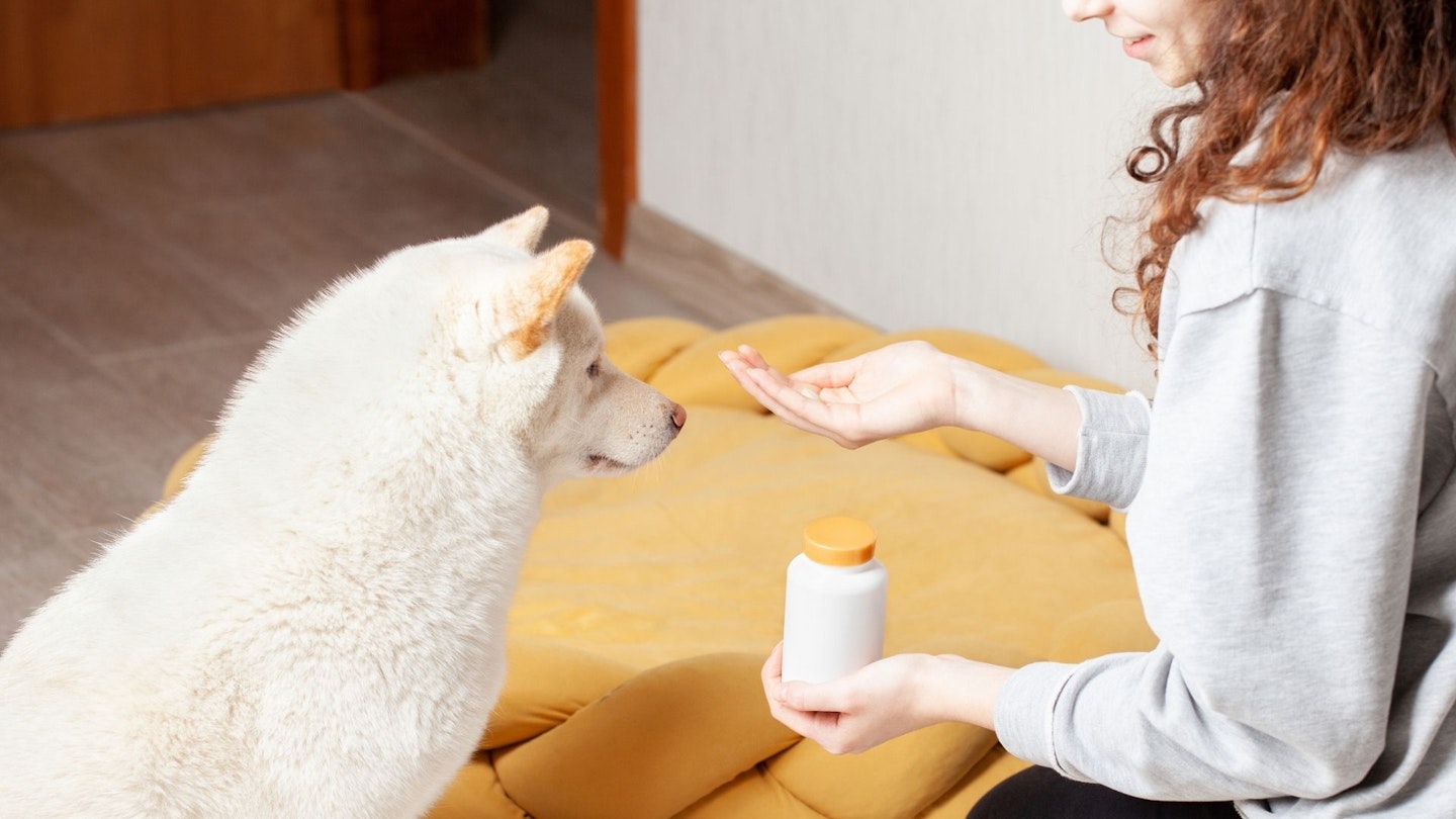 Pet owner giving his dog a pill. Focus on the plastic bottle with vitamins