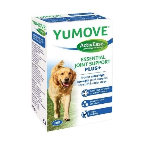 The best joint supplements for dogs in the UK Pets Take A Break