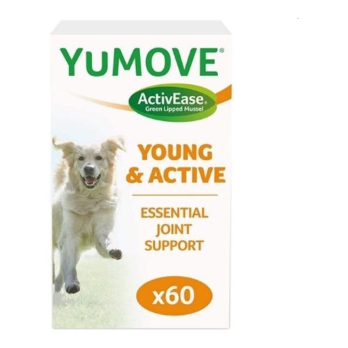 The best joint supplements for dogs in the UK Pets Take A Break