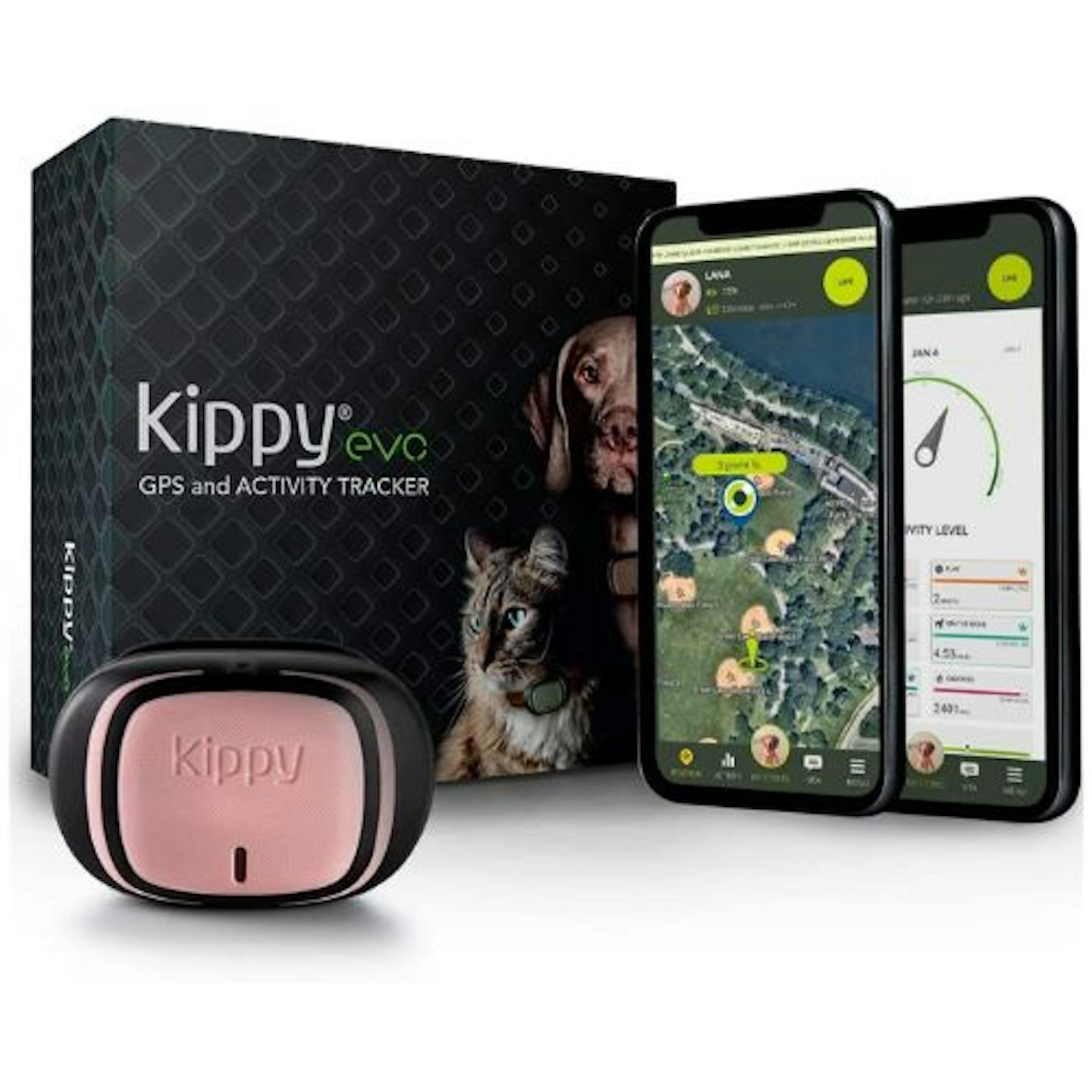 KIPPY - EVO Cat Tracker