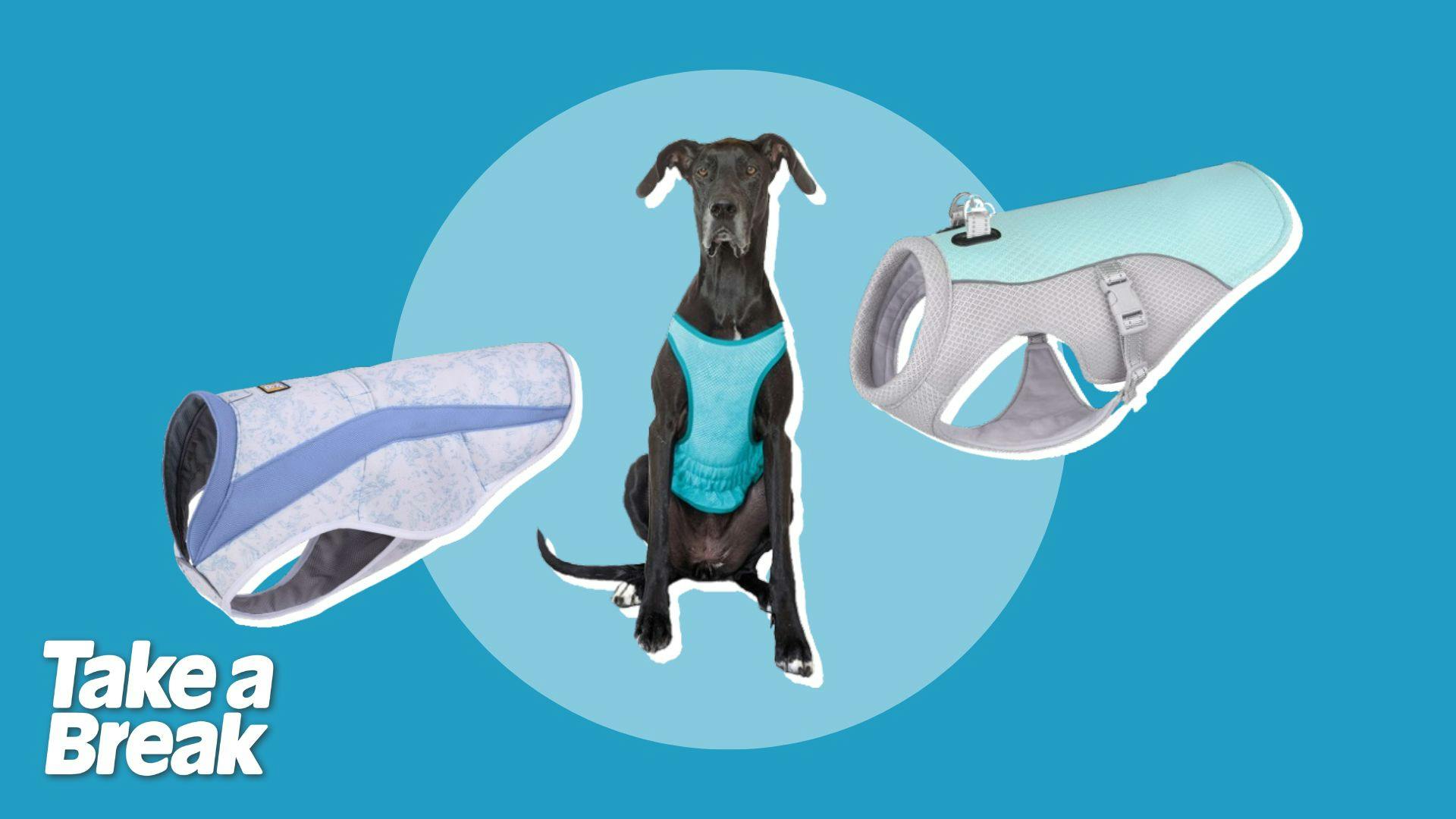 Best dog cooling vests to keep your hound cool this summer