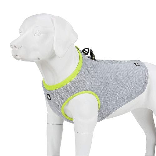 Mokcci best sale dog harness