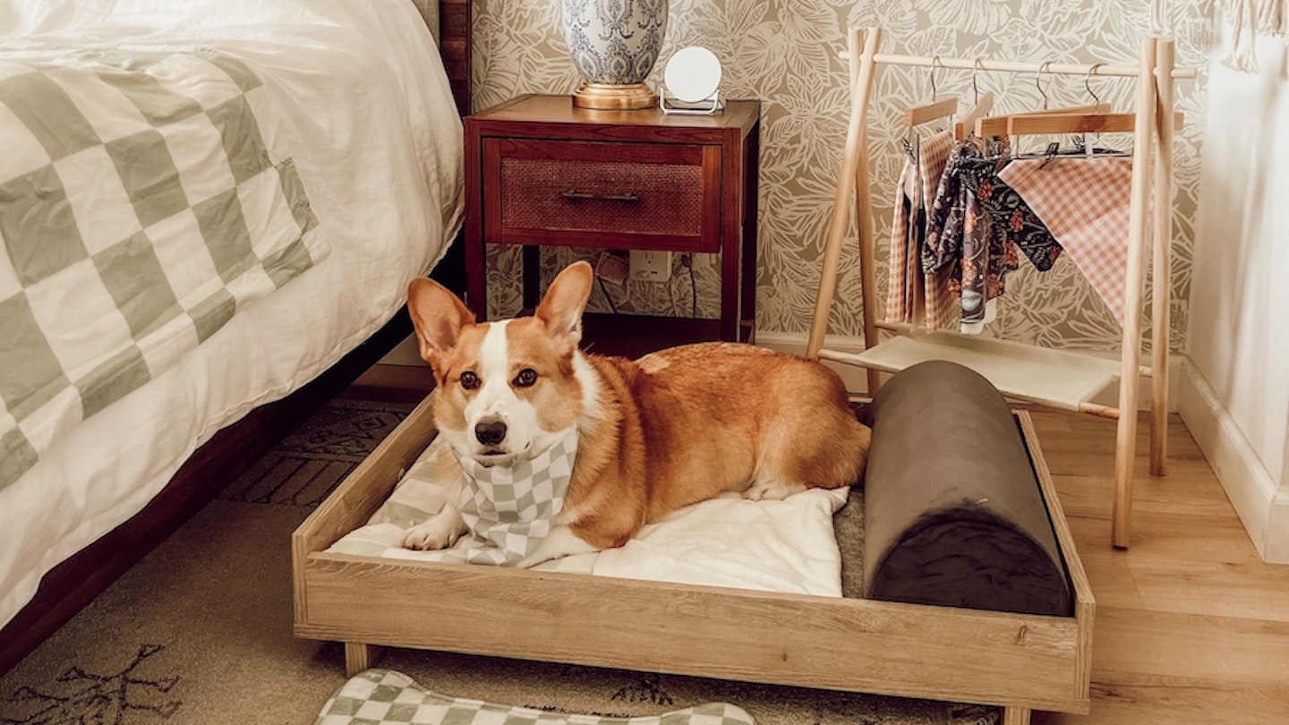 Treat a pet dog bed best sale