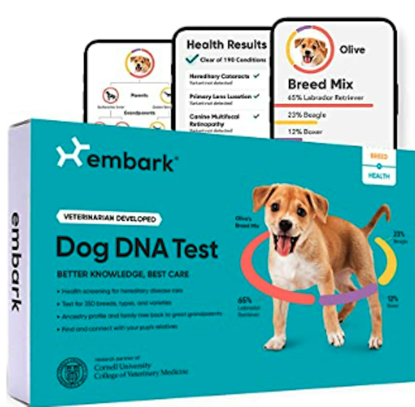 Best dog DNA test kits UK
