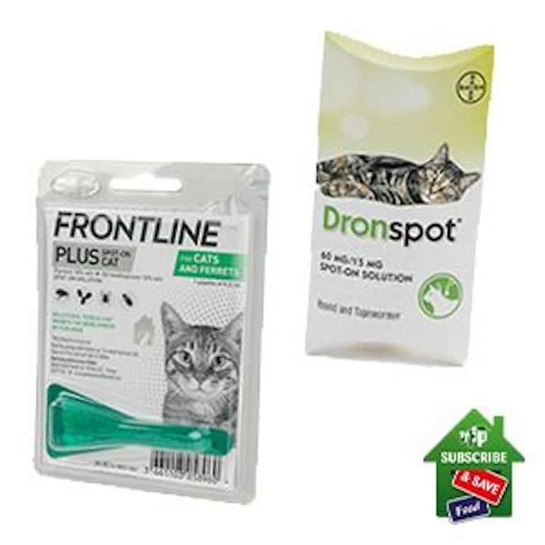 The Best Cat Wormer UK 2022 Pets Take A Break