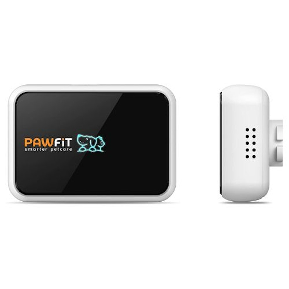 Best Dog GPS Tracker UK 2022 Pets Take A Break