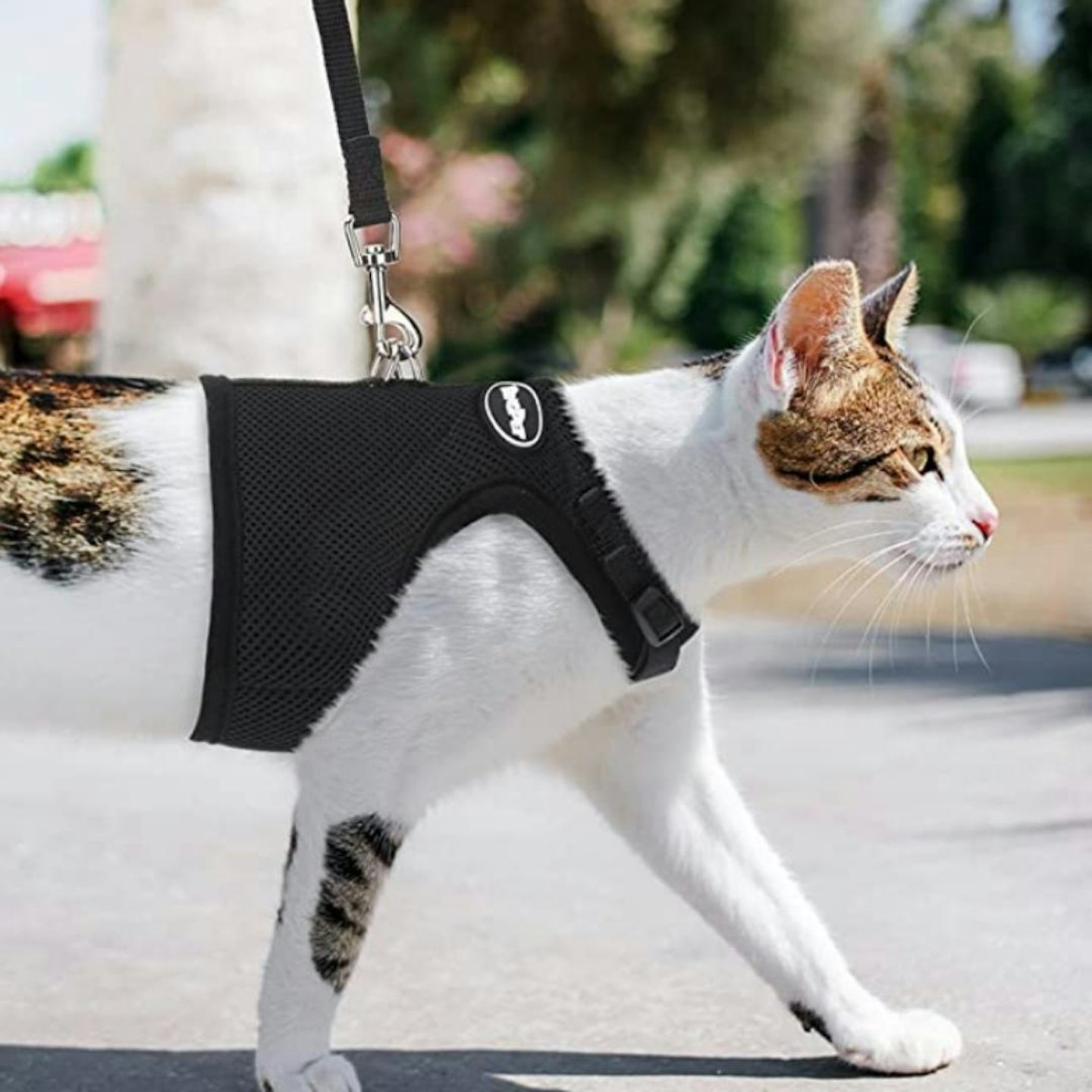 BINGPET Escape Proof Cat Harness and Leash