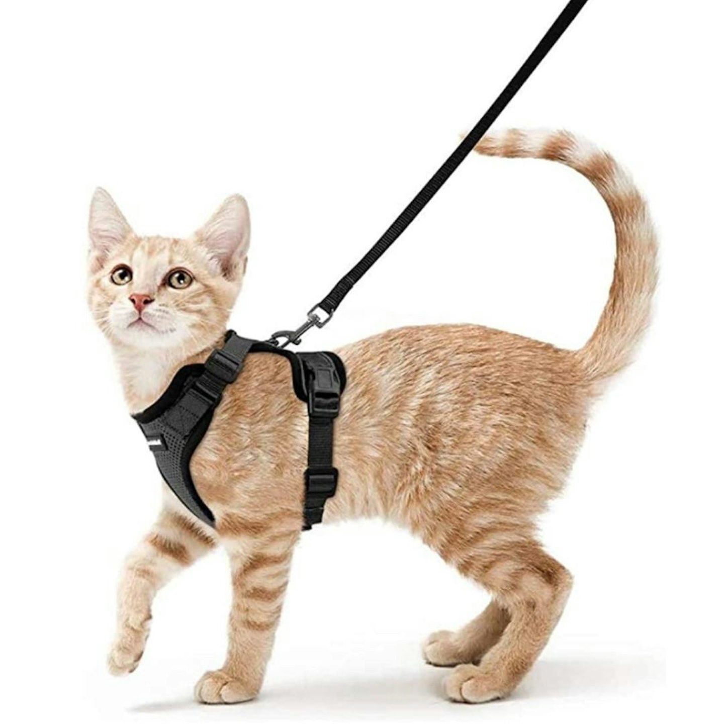 rabbitgoo Escape-Proof Cat Kitten Harness with Leash Set