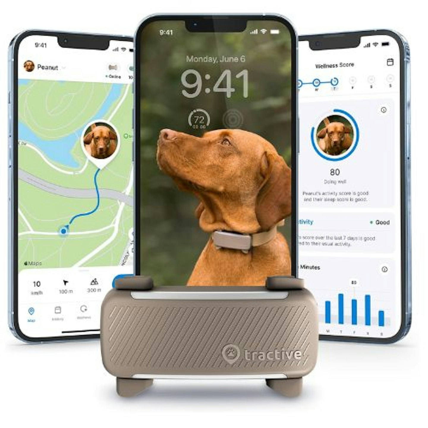 Tractive GPS Dog 6 Tracker