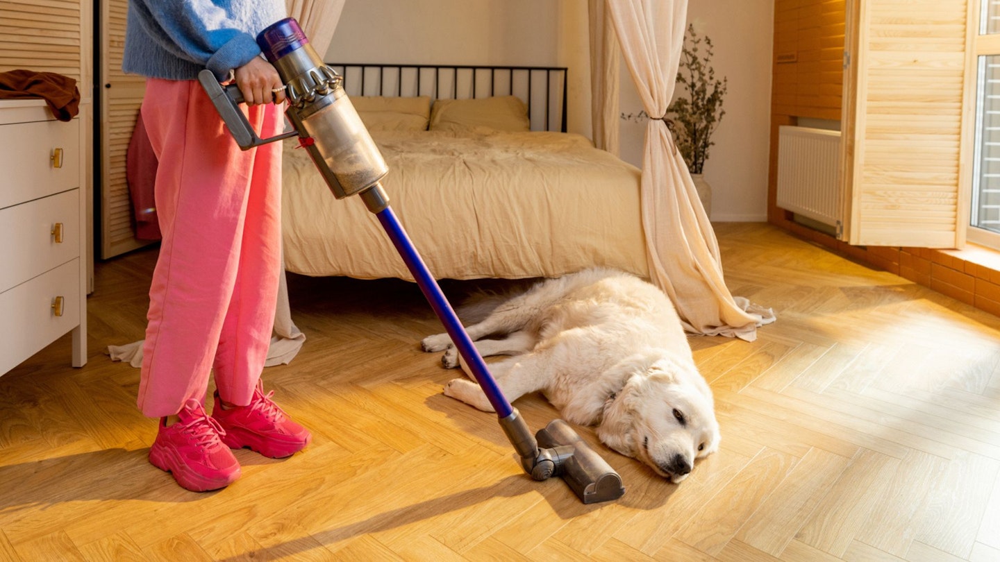 best cordless vacuum cleaners for pet hair