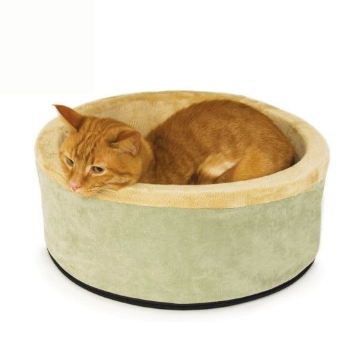 Keep your feline friend warm with the best heated cat beds Pets