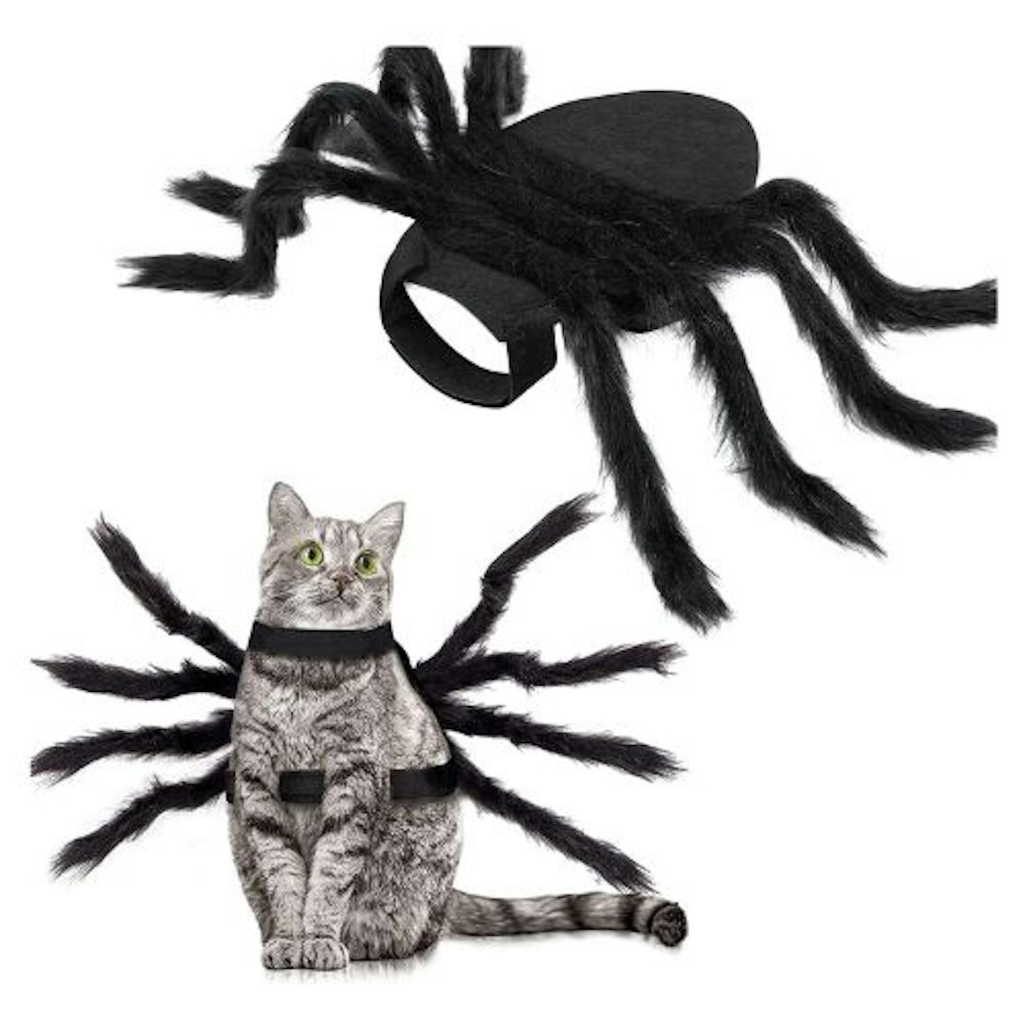 Halloween Spider Costume for Small Medium Dogs and Cats