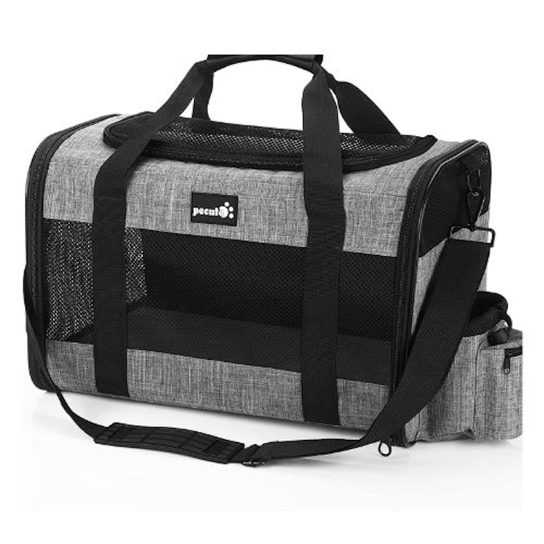 Best dog crates for car travel to ensure safe journeys