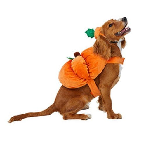 rotisserie chicken dog costume