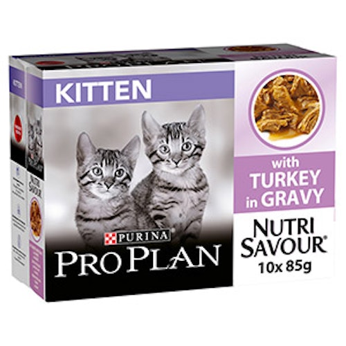 The best wet kitten food to help your cat grow Pets Take A Break