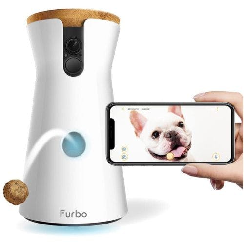 Best budget best sale pet camera