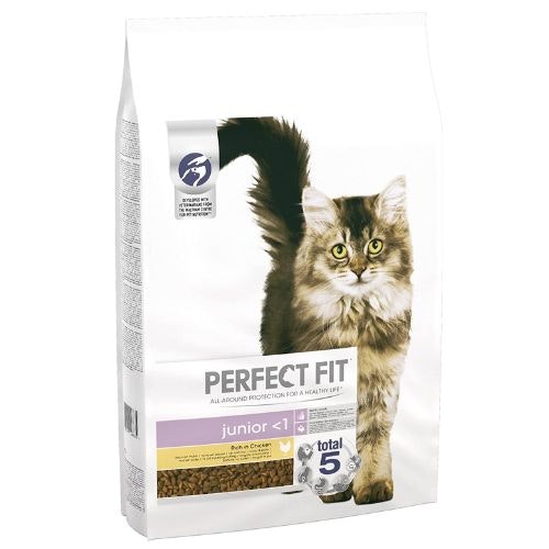 Best dry cat food for kittens | Pets | Take A Break