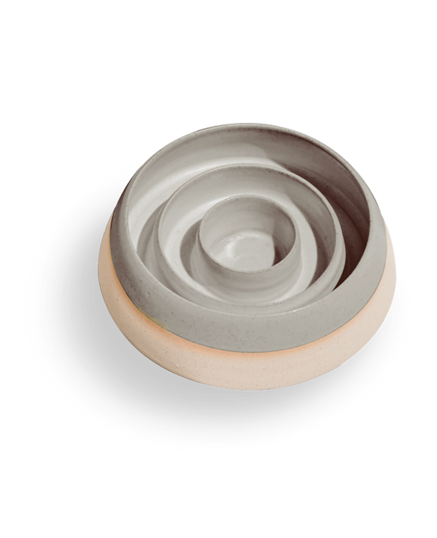 Best Slow Feeder Dog Bowls