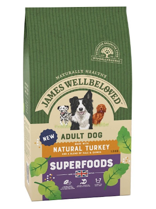 The Best Dry Dog Food For Your Four-legged Bff 