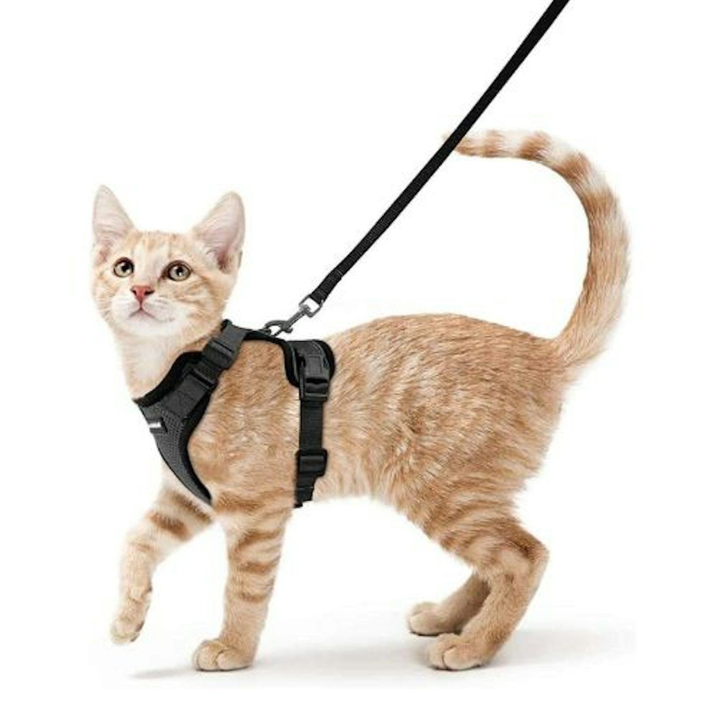 rabbitgoo Escape-Proof Cat Kitten Harness with Leash Set