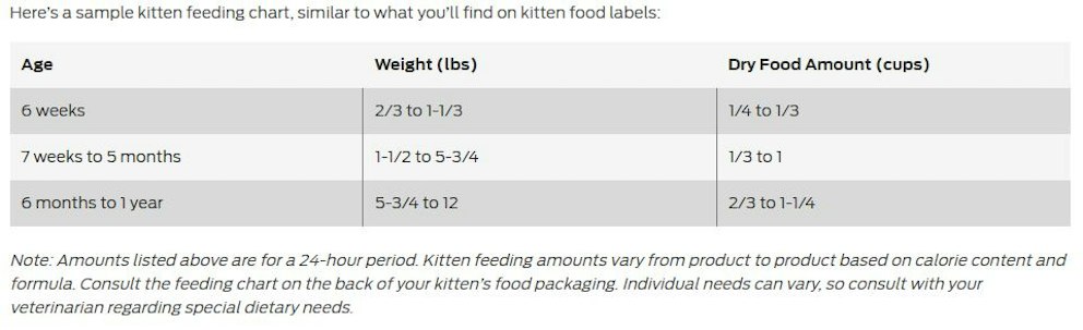 Best dry cat food for kittens 2025