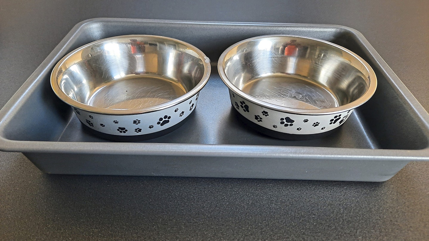 Dog dish