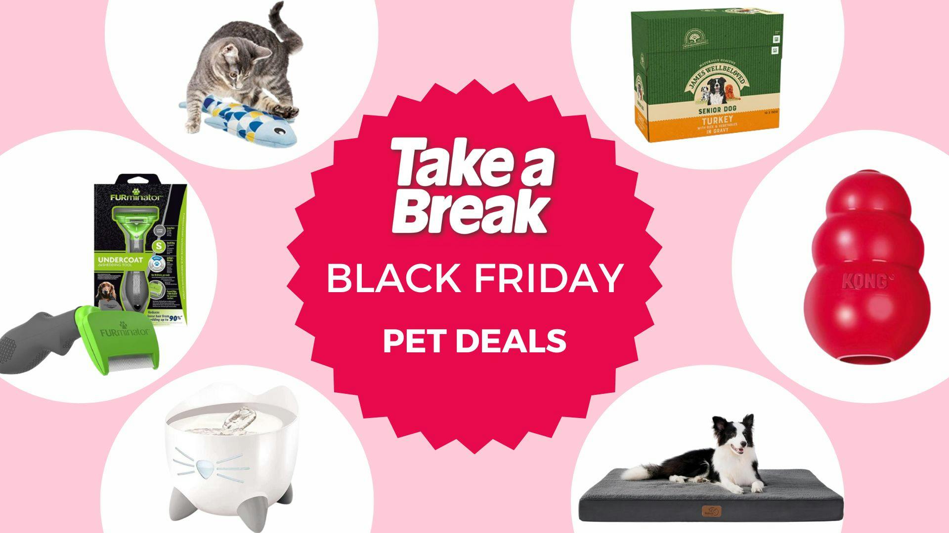Best Pet Deals UK 2023 - Vimarsana News