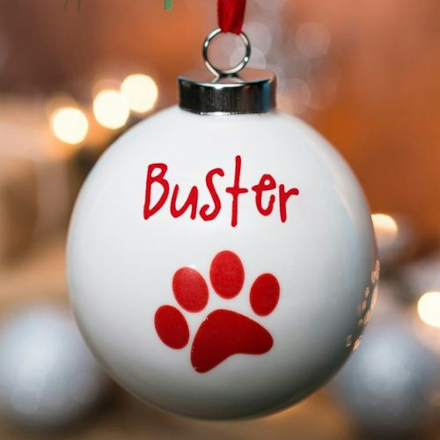 Best Personalised Dog Gifts for Christmas 2022 Pets Take A Break