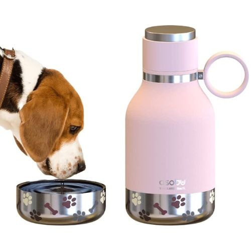 The best dog travel water bowls and bottles Pets Take A Break