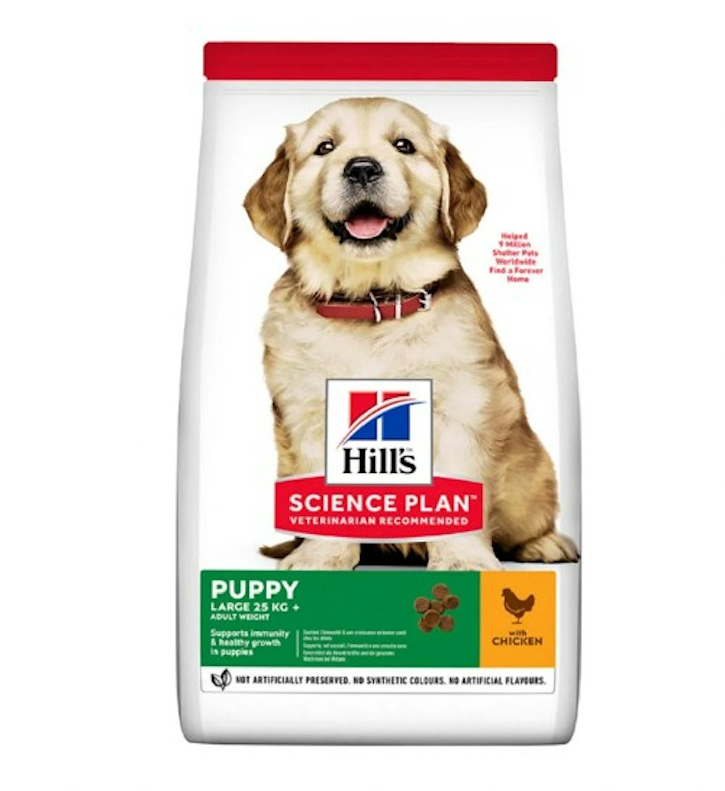 Hill's Science Plan Large Puppy Dry Dog Food - Chicken