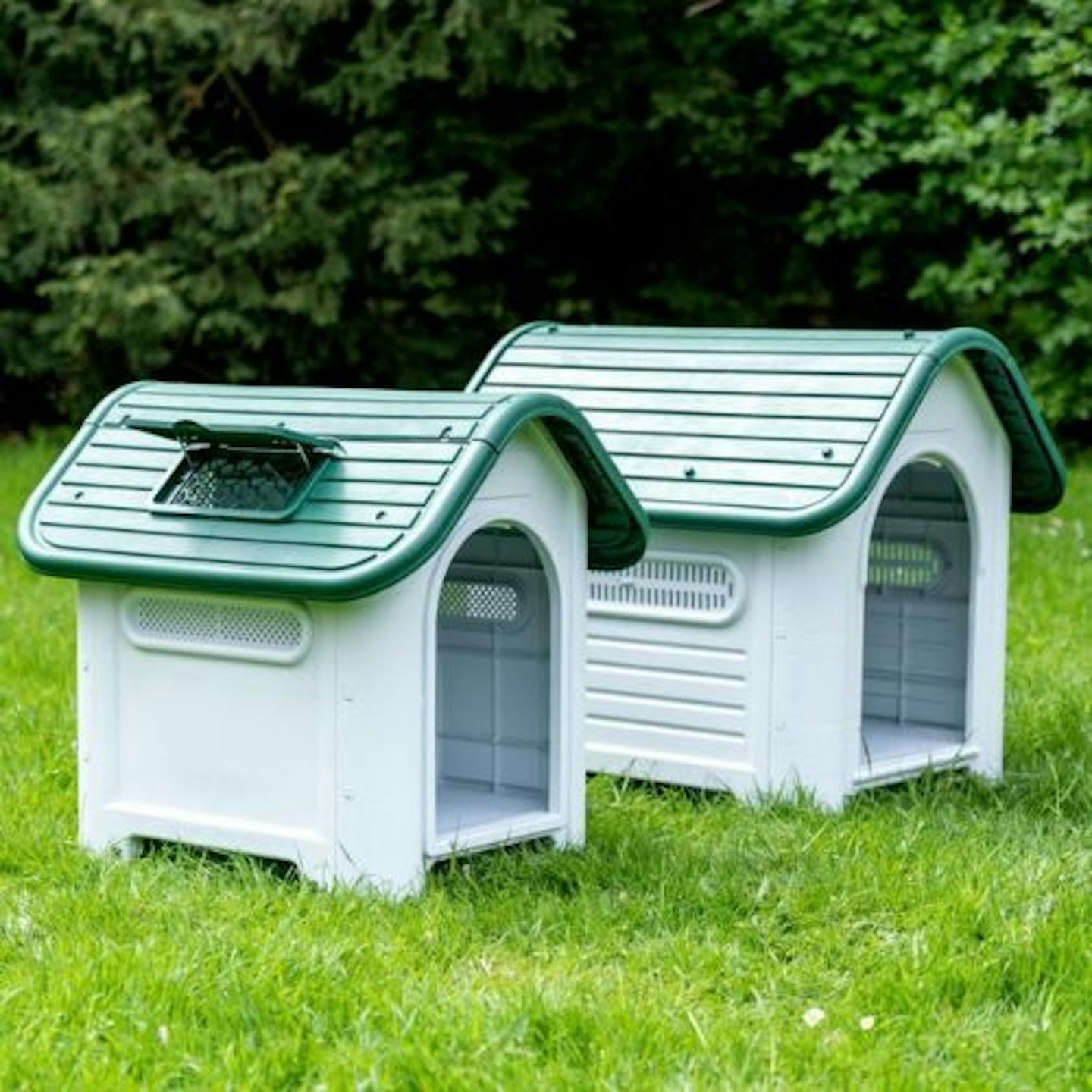 Plastic Dog Kennel - Great For Dogs With Allergies