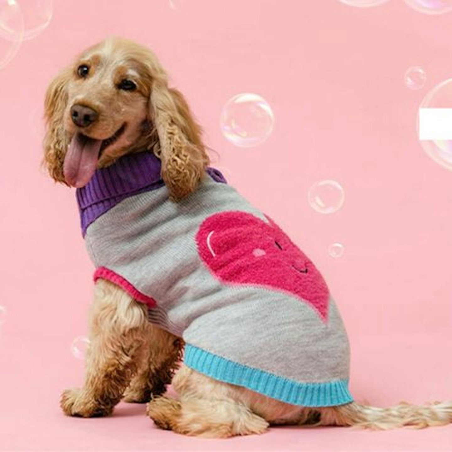 Heart Knitted Dog Jumper