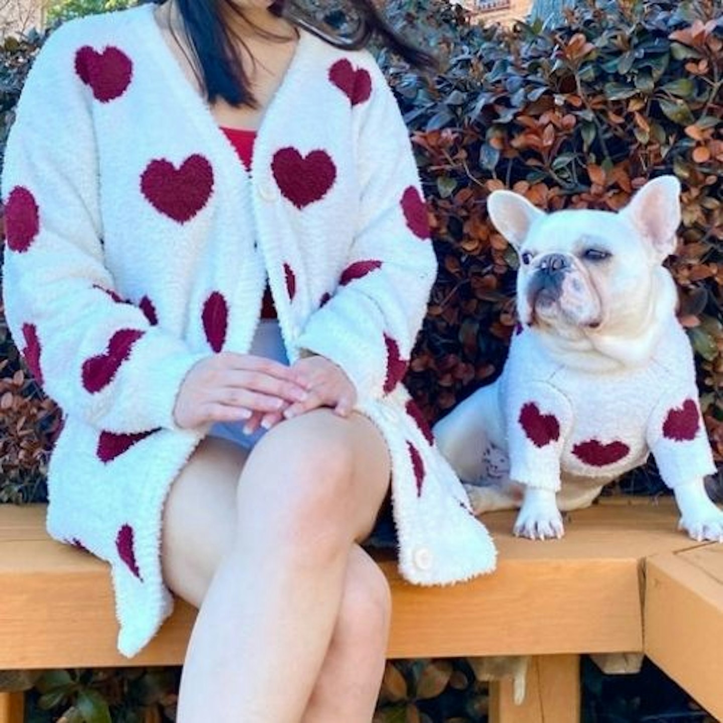 Matching Pet/Owner Red Heart Sweaters