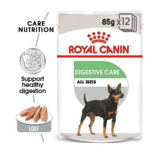 Best digestive best sale care dog food