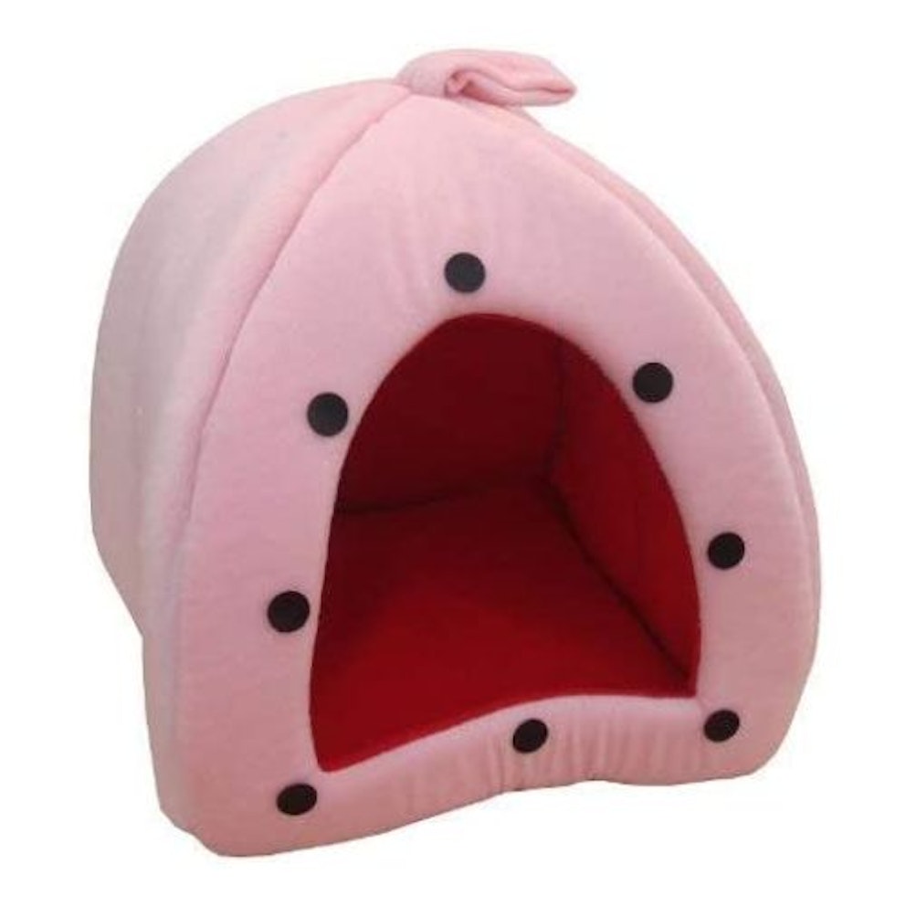 Best heated cat beds to keep your feline friend warm 2024