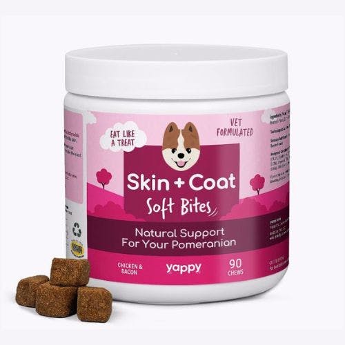 Best dog food for soft outlet coat