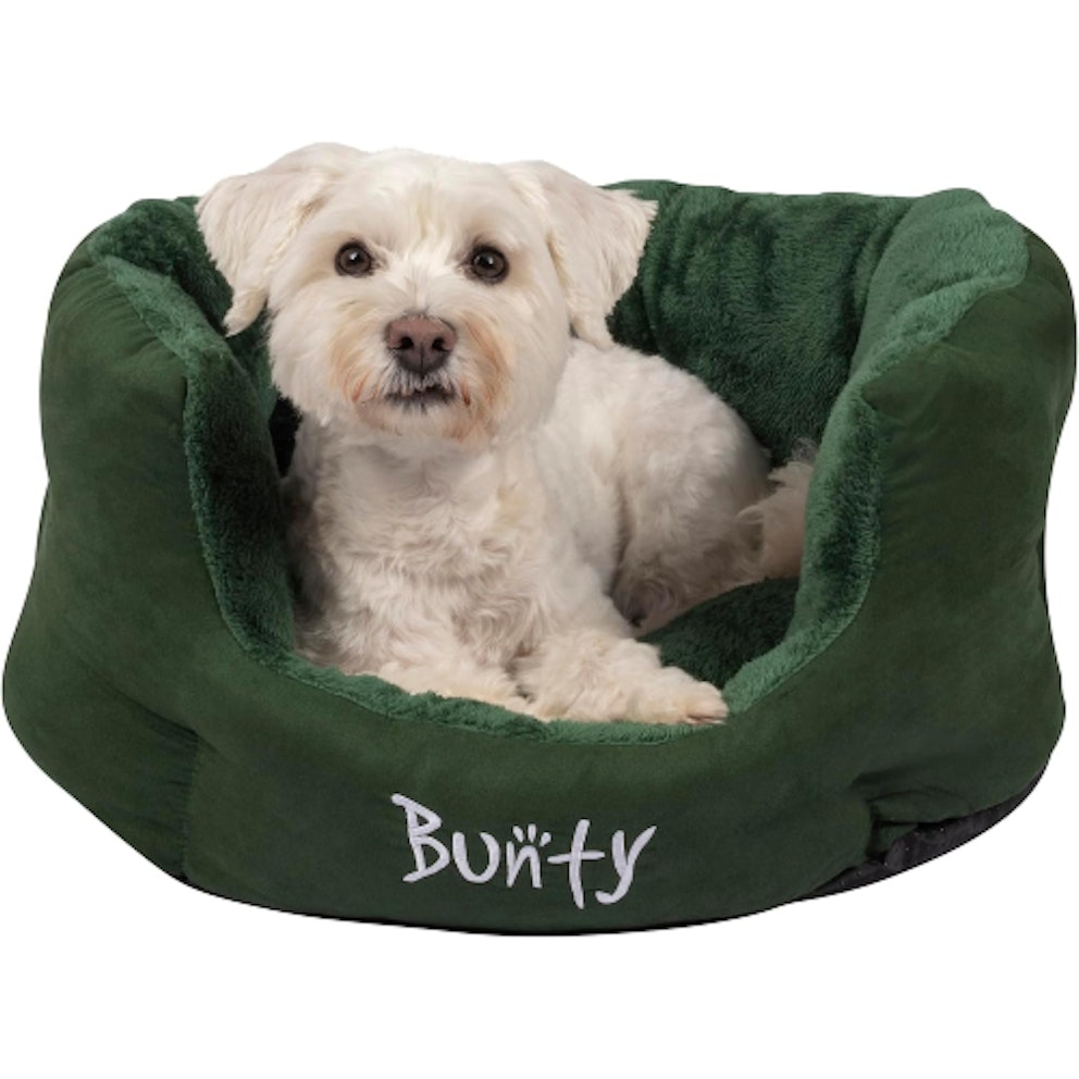 Best antianxiety dog bed that will calm your anxious pup