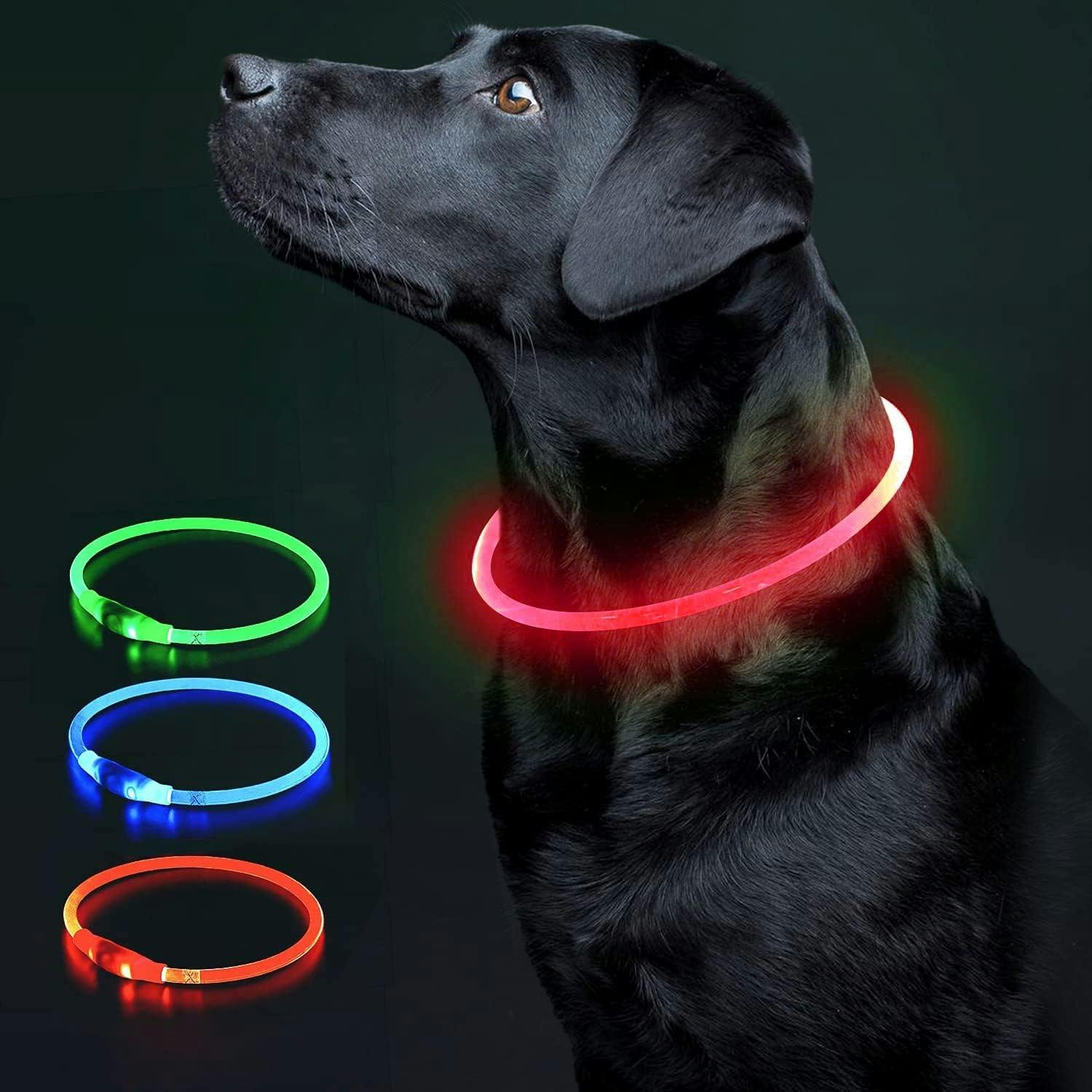 Best light up dog collars to keep your pup safe at night