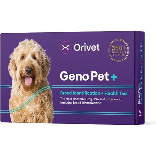 Best dog dna best sale