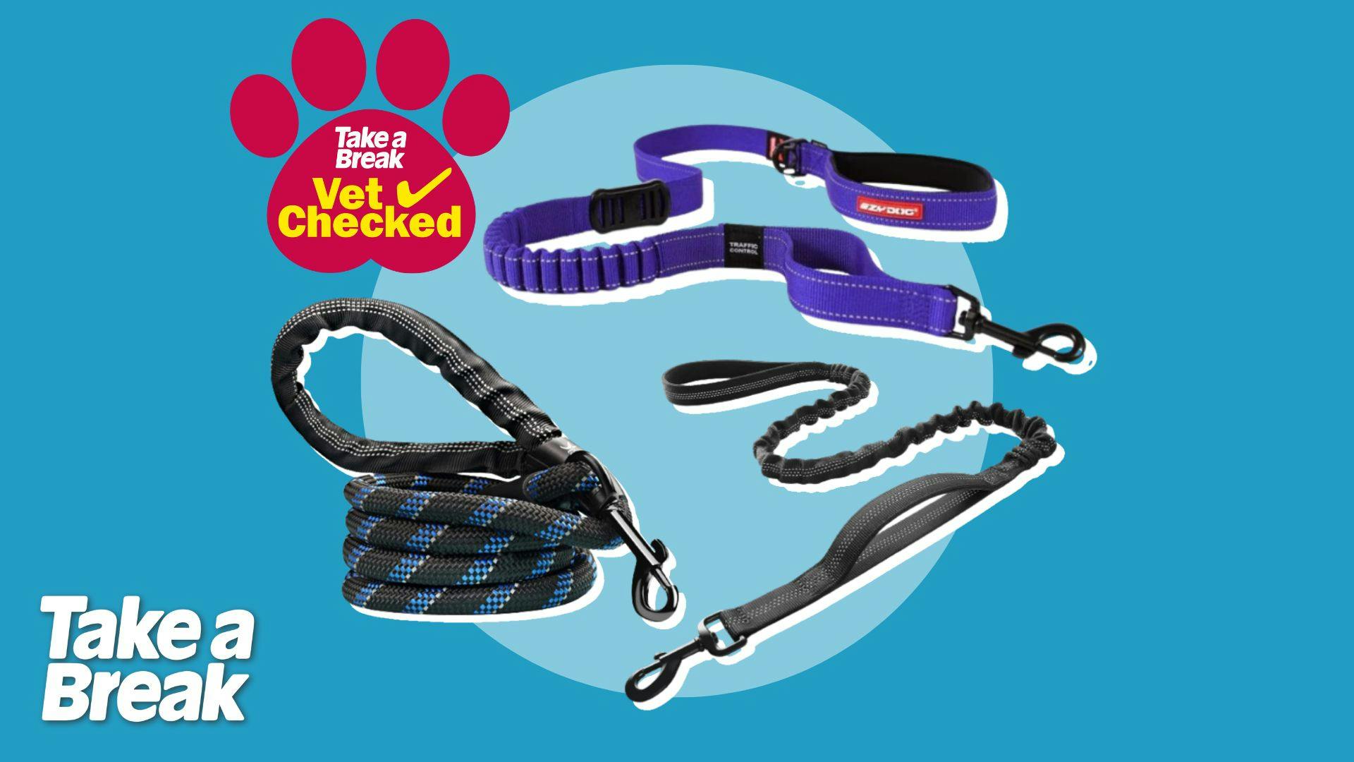 Best leads for dogs that pull for more control on walks