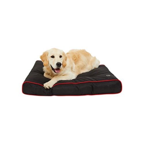 The best dog bed for snoozy pups Pets Take A Break