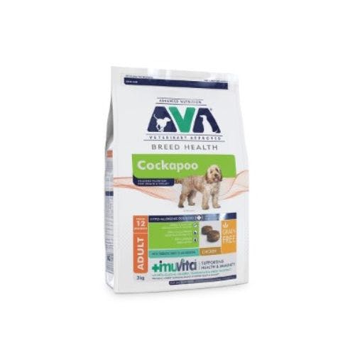 Ava yorkshire terrier outlet food