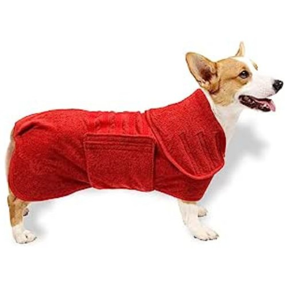 Best dog drying coat to warm up your pup after getting wet