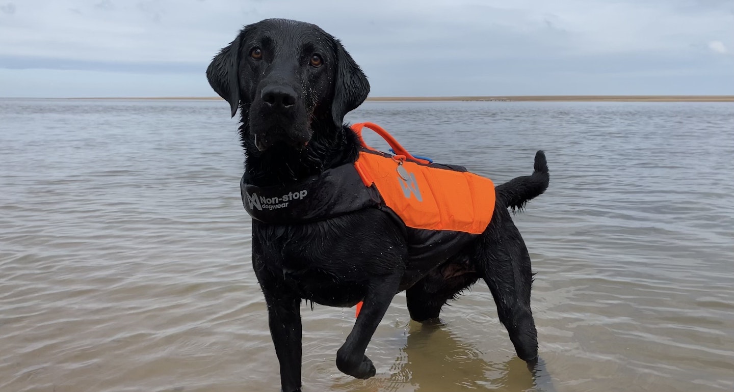 Bob testing the Protector life jacket