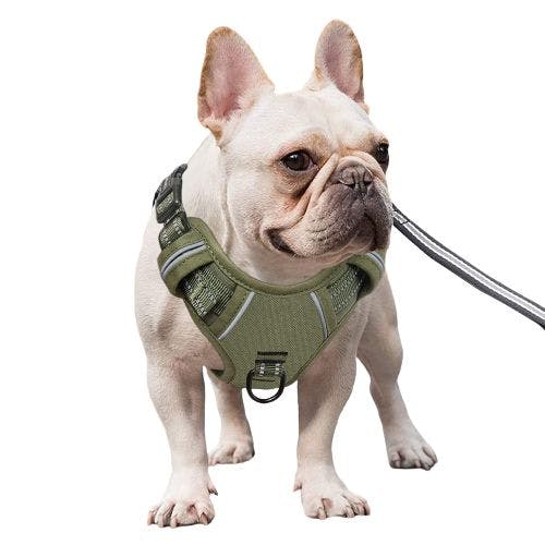 Best anti hotsell pull dog lead