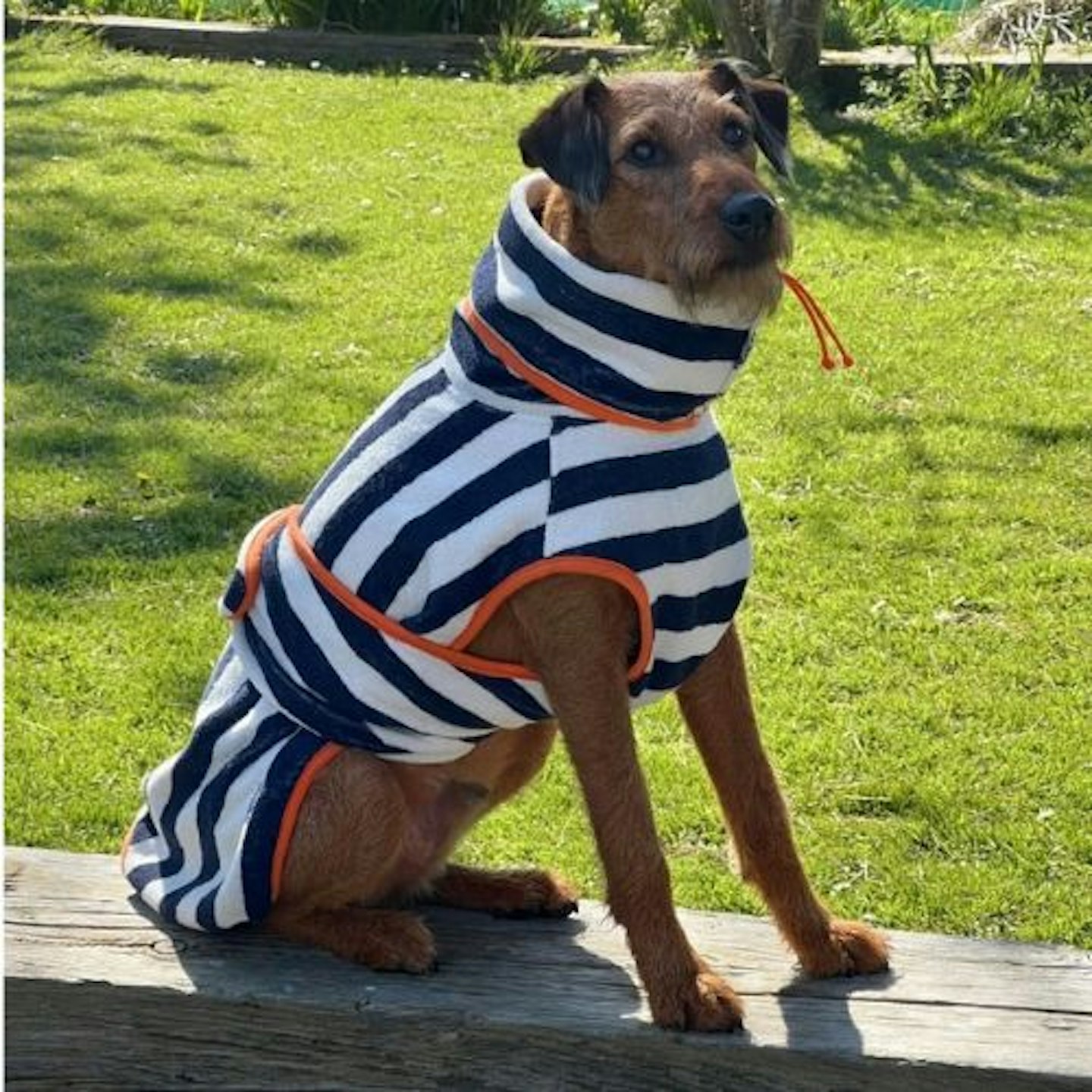 Harbour Hounds Dog Drying Robe Striped