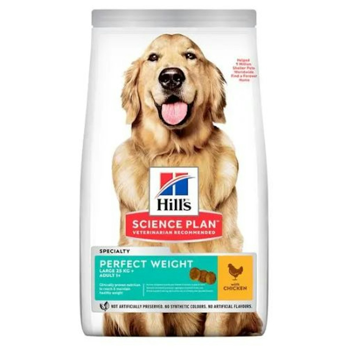 9 best dog foods for weight loss