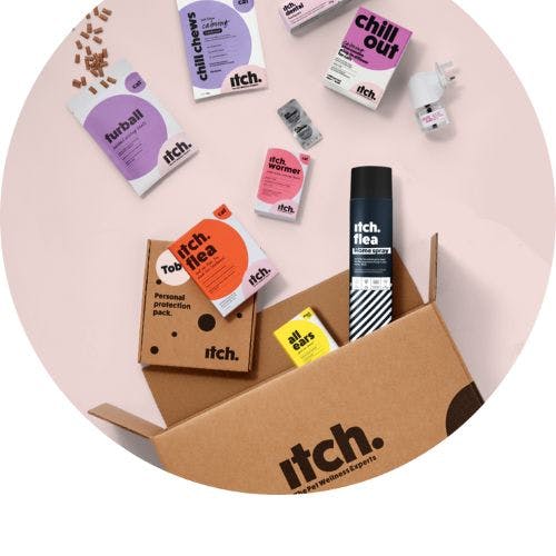 The Best Dog Subscription Boxes 2024