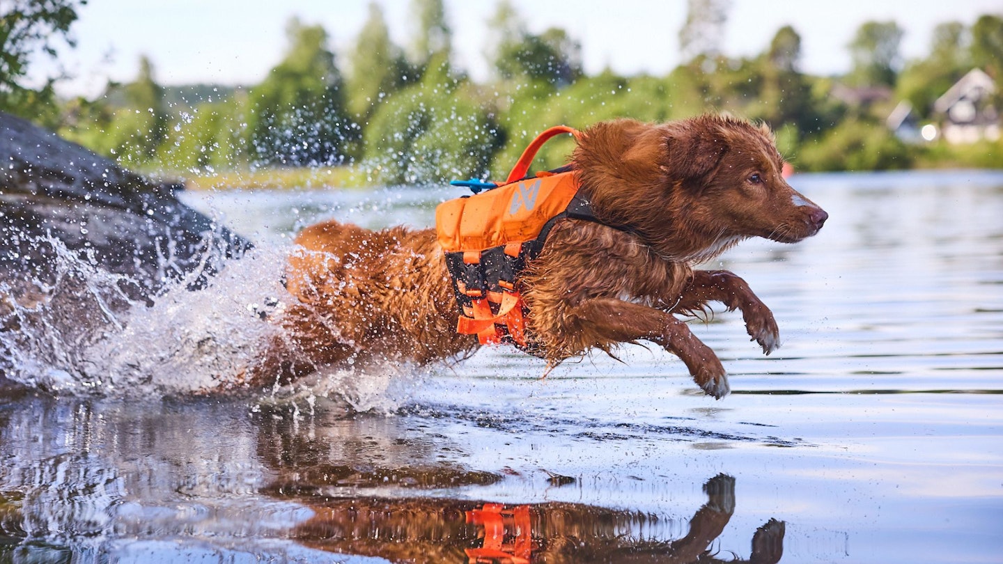 Protector life jacket