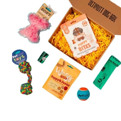 The perfect dog subscription boxes for every pooch Pets Take A Break